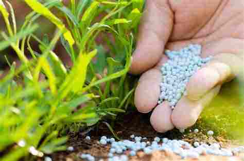 Fertiliser.